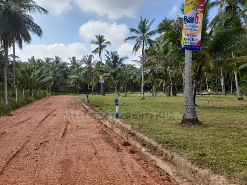 නිකවැරටිය කොබෙයිගනේ මාර්ගයේ වටිනා ඉඩමි
