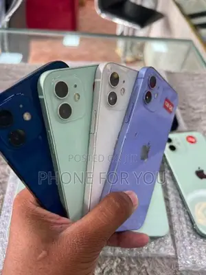 Apple iPhone 12 (Used)