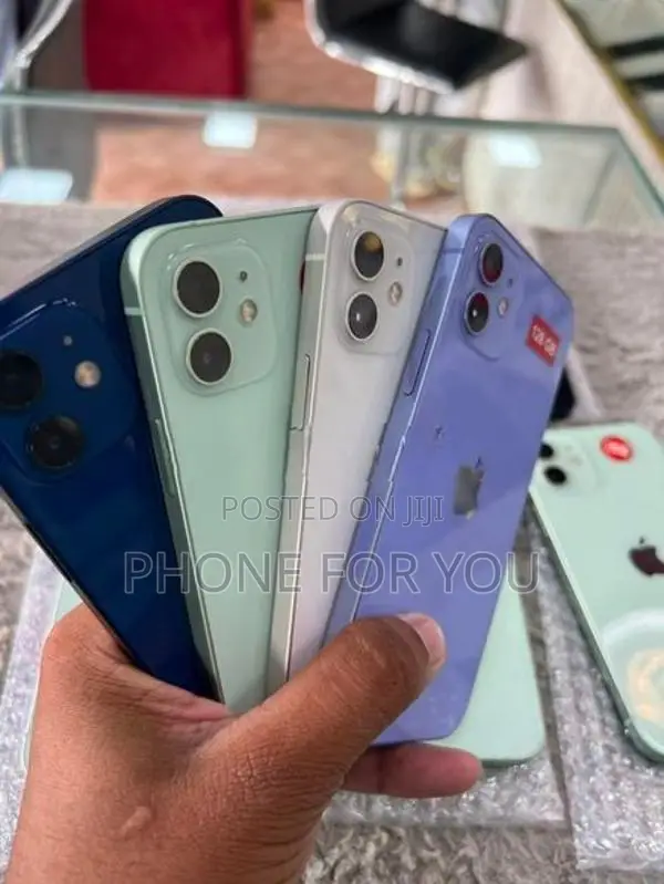 Apple iPhone 12 (Used)