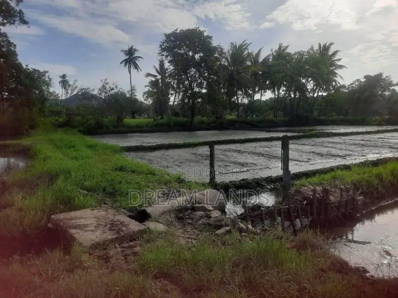 මින්නේරිය – අක්කර 4ක වටිනා ගොඩ හා කුඹුරු ඉඩමක් විකිණීමට