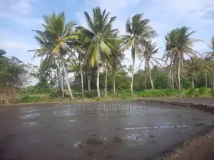 මින්නේරිය – අක්කර 4ක වටිනා ගොඩ හා කුඹුරු ඉඩමක් විකිණීමට