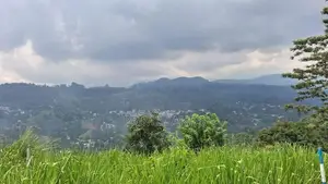 Land for Sale in Pussellawa