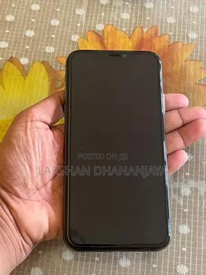 Apple iPhone X 256GB (Used)