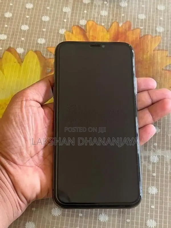 Apple iPhone X 256GB (Used)