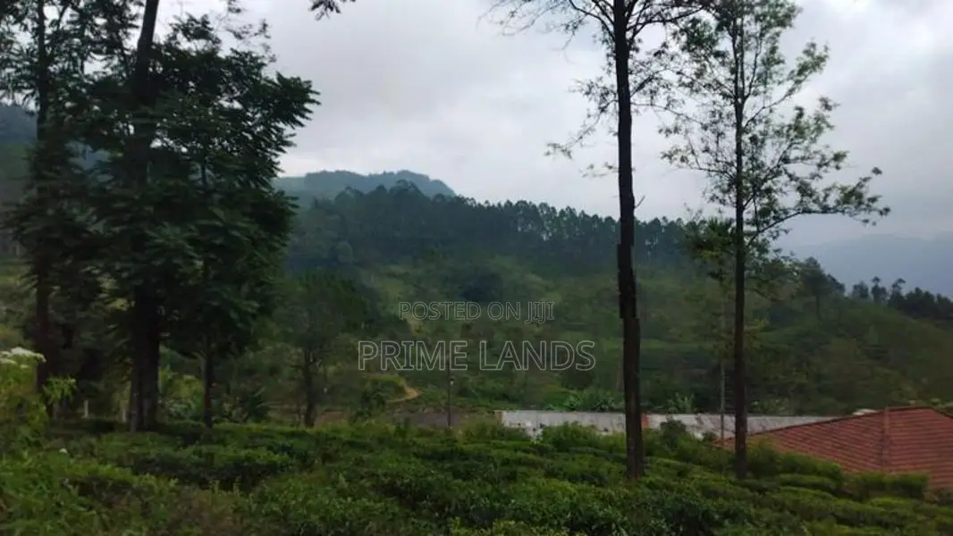 Land for Sale in Pussellawa
