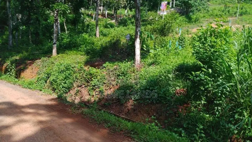 Residential Land for Sale in Nelumdeniya
