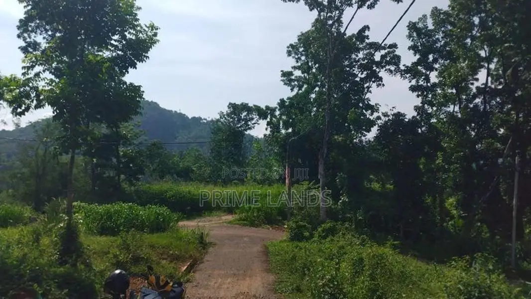 Residential Land for Sale in Nelumdeniya