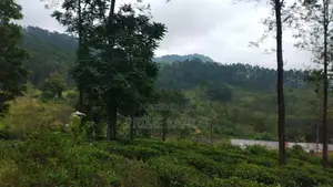 Land for Sale in Pussellawa