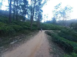 Land for Sale in Pussellawa