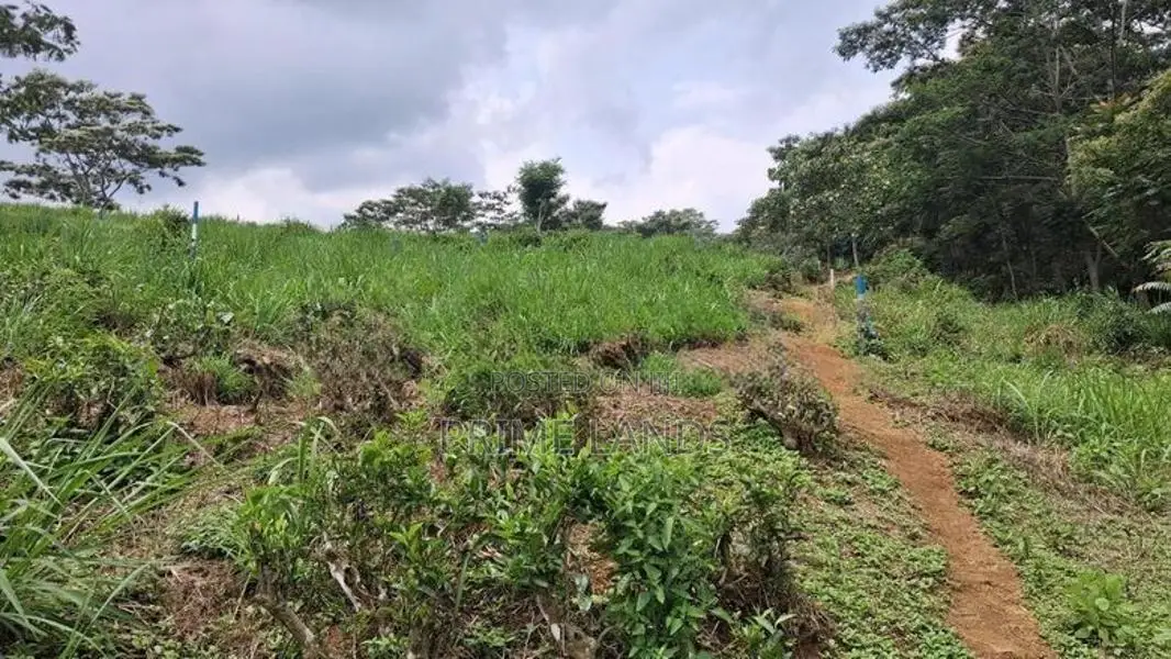 Beautiful Land for Sale in Pussellawa