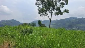 Valuable Land for Sale in Pussellawa