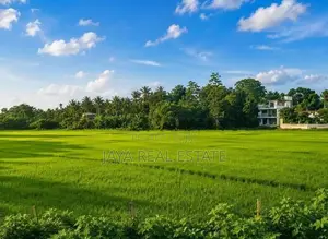 කොළඹ ඇඹුල්ගම ප්‍රදේශයෙන් අගනා නේවාසික ඉඩම් කැබලි 2ක් විකිණීමට ඇත