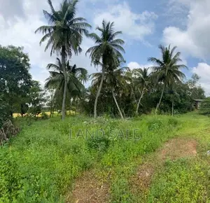 53 Perch Land for Sale Parakrama Samudraya, Polonnaruwa