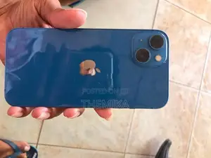 Apple iPhone 13 (Used)
