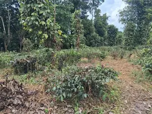 Land for Sale in Kandy Pilimatalawa