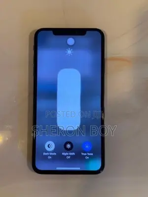 Apple iPhone XS Max (Used)