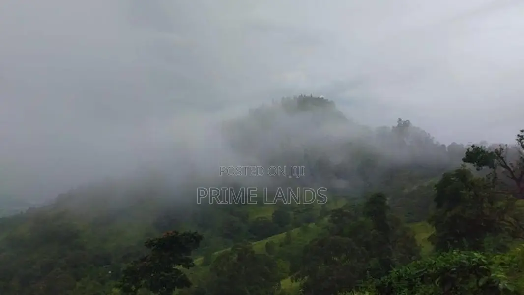 Land for Sale in Bandarawela Kontehela