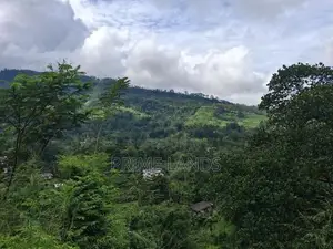 Valuable Land for Sale in Pussellawa