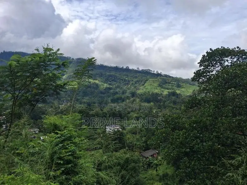Valuable Land for Sale in Pussellawa