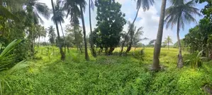 53 Perch Land for Sale Parakrama Samudraya, Polonnaruwa