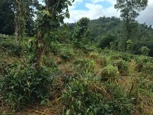 Land for Sale in Kandy Pilimatalawa
