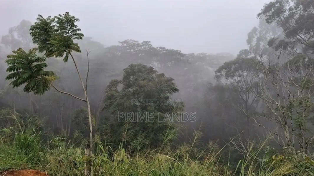 Valuable Land for Sale in Pussellawa