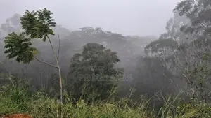 Valuable Land for Sale in Pussellawa