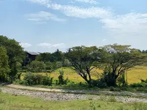 53 Perch Land for Sale Parakrama Samudraya, Polonnaruwa