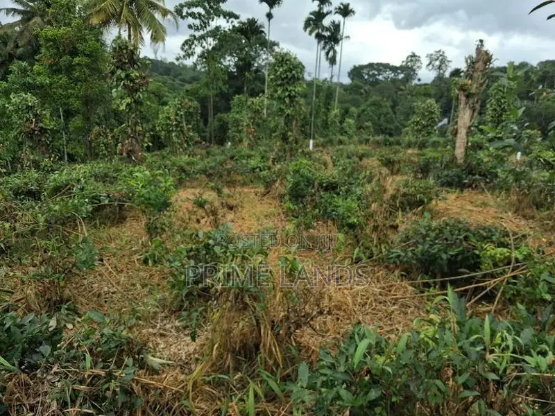 Land for Sale in Kandy Pilimatalawa