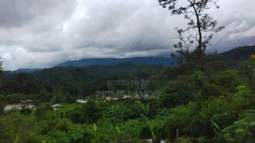Land for Sale in Bandarawela Kontehela