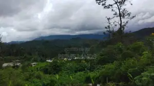 Land for Sale in Bandarawela Kontehela