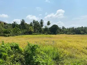 53 Perch Land for Sale Parakrama Samudraya, Polonnaruwa