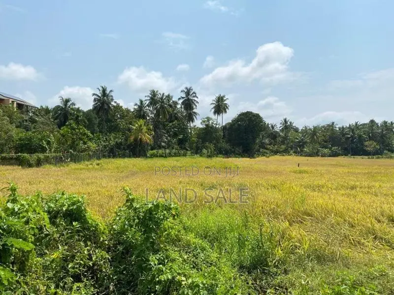 53 Perch Land for Sale Parakrama Samudraya, Polonnaruwa