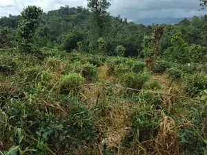 Land for Sale in Kandy Pilimatalawa