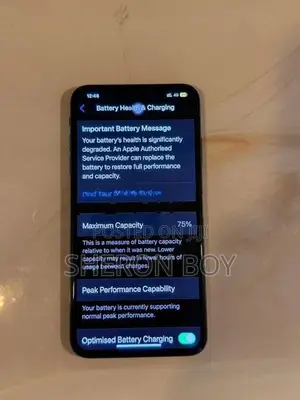 Apple iPhone XS Max (Used)