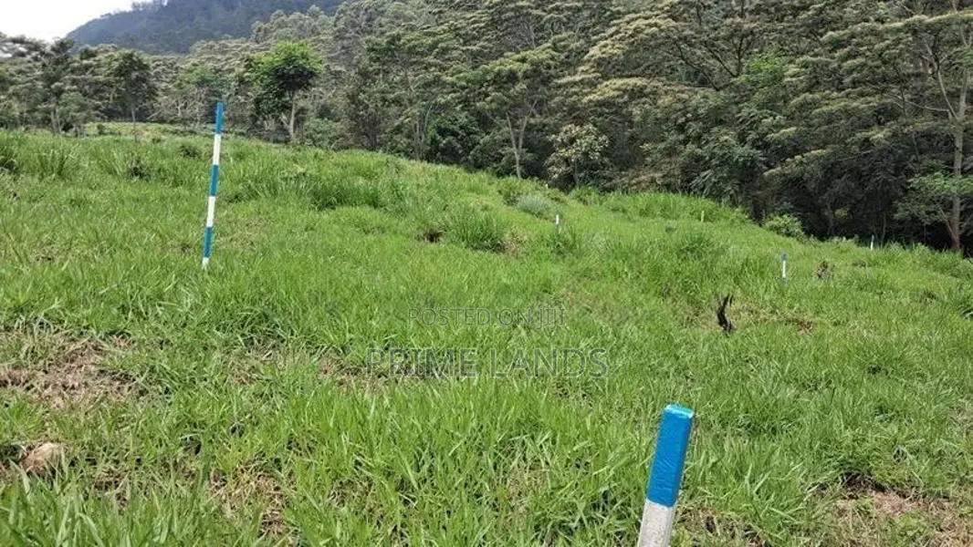 Valuable Land for Sale in Pussellawa