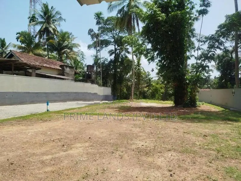 හෝමාගම බිම් කොටස් විකිණීමට