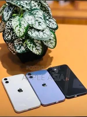 Apple iPhone 11 128GB (Used)