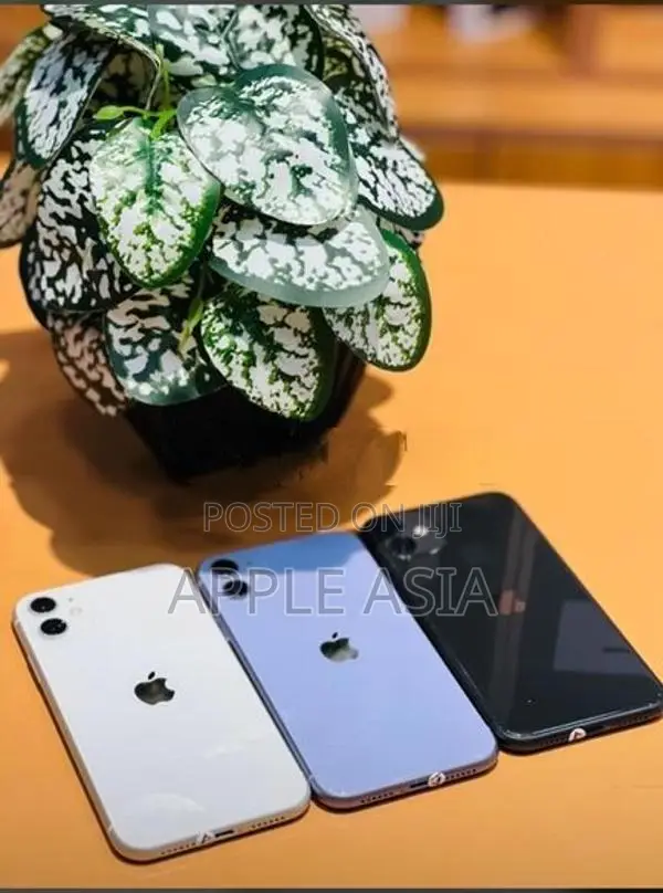 Apple iPhone 11 128GB (Used)