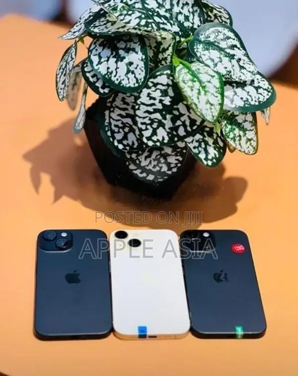 Apple iPhone 15 128GB (Used)