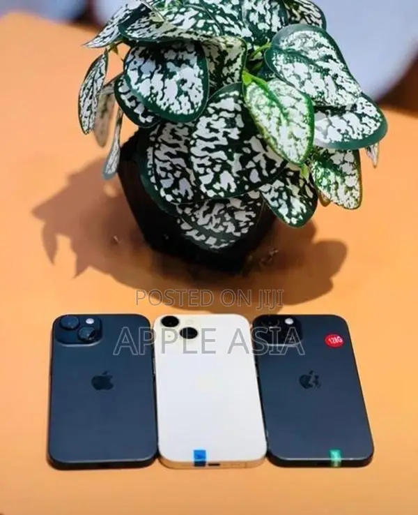 Apple iPhone 15 128GB (Used)