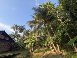 Land Sale in Kurunegala