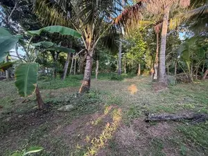 Land Sale in Kurunegala