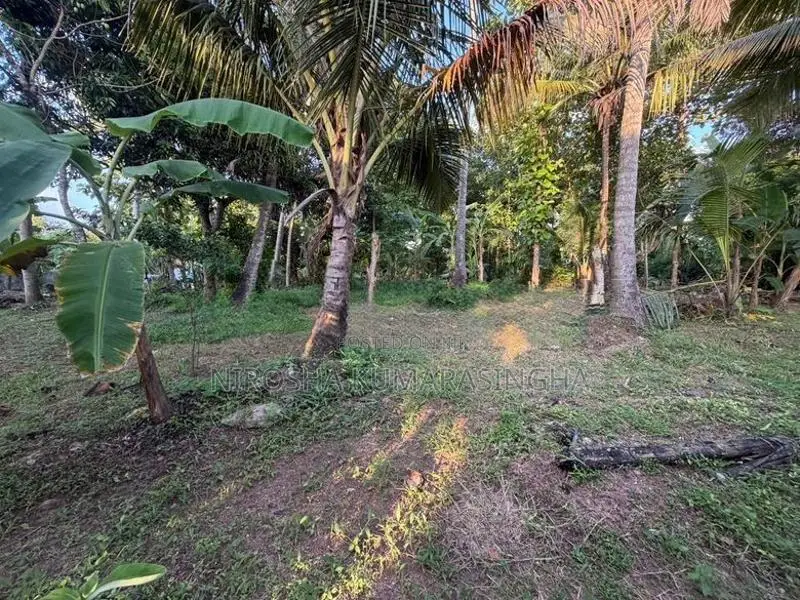 Land Sale in Kurunegala