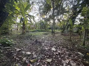 Land Sale in Kurunegala