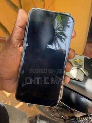 Apple iPhone 15 Pro Max (Used)