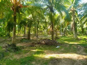 Land with Small House for Sale in Wariyapola