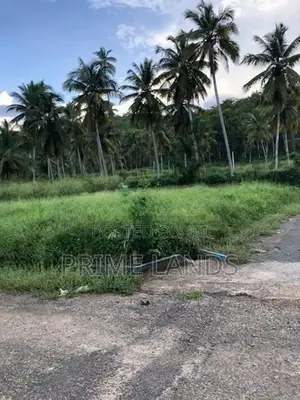 නාරම්මල නේවාසික බිම් කොටස් විකිණීමට