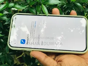 Apple iPhone 13 Pro Max 100 (Used)