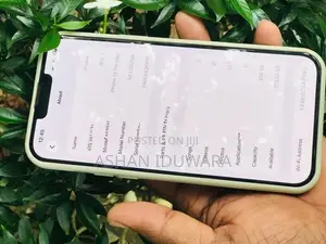 Apple iPhone 13 Pro Max 100 (Used)